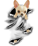 Discover Cute Chihuahua Torn funny dog torn dogs inside T-Shirts