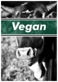 Discover Vegan (Cow) T-Shirts