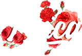 Discover Toxica Roses Flower Gift