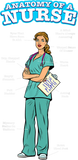Discover Anatomy of a Nurse T-Shirts Nurses Week 2021 Gift