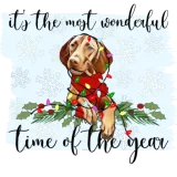Discover Vizsla - It's the most wonderful time of the year T-Shirts