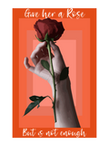 Discover Give her a rose but is not enough for woman