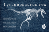Discover Dinosaurier / Tyrannosaurus rex - Vintage Design T-Shirts