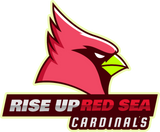 Discover Arizona - Rise Up Red Sea - Cardinal Bird Football T-Shirts