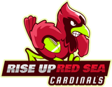 Discover Arizona - Rise Up Red Sea - Cardinal Bird Football T-Shirts