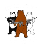 Discover Funny Bear T-Shirts T-Shirts Right To Arm Bears Ap