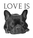 Discover French Bulldog Love Is Cute Frenchie Dog Mom 3181 T-Shirts