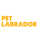 Discover Eat Sleep Pet Labrador Repeat T-Shirts