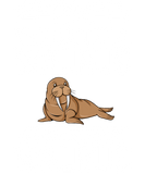 Discover Walrus Baby Atlantic Animal Funny Cute T-Shirts