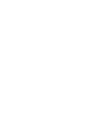 Discover Rhodesian Ridgeback South Africa T-Shirts
