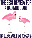 Discover Flamingo Bird Funny Quote Zoo Animal Gift T-Shirts