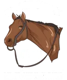 Discover Horse Show Mom Funny Barrel Racing T-Shirts