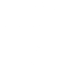 Discover WIFE. DOG MOM. BUS DRIVER. T-Shirts