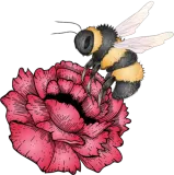 Discover Drawing of a flying bumblebee with a red flower T-Shirts