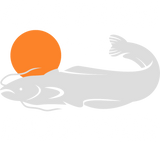 Discover Catfish Hunter River Fishing Catfishing Angler T-Shirts