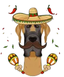 Discover Cinco De Mayo Great Dane Sombrero Dog T-Shirts
