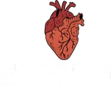 Discover Science Heart Doctor Biology Teacher T-Shirts
