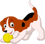 Discover dog ball tennis