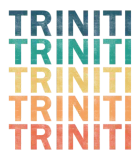 Discover Triniti Name T-Shirts - Triniti Vintage Retro Name