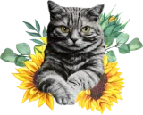 Discover Black Cat With SunFlowers, Gifts For Kitten Lovers T-Shirts