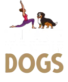 Discover Yoga Dog Beginner Workout Poses Quotes Meditation T-Shirts