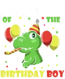 Discover Brother of Birthday Boy Dinosaur Dino Party Gifts T-Shirts