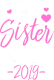Discover Big Sister Again 2019 Hearts Funny Family Party T-Shirts