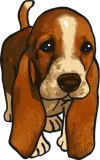 Discover Basset Hound DogPuppy T-Shirts