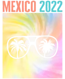 Discover Mexico 2022 T-Shirts, Mexican Sunglasses Palm Tree