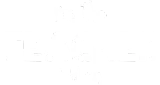 Discover I'm the Teacher Witch - Teacher T-Shirts