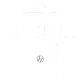 Discover baseball, baseball lover, funny baseball T-Shirts