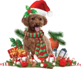Discover Christmas themed brown Poodle dog T-Shirts