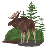 Discover Moose in a Forest T-Shirts