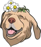 Discover Dog Labrador Flower T-Shirts