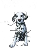 Discover Funny Dalmatian T-Shirts