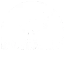 Discover Baby Saurus Newborn Baby Dinosaur Baby Dino Babysa T-Shirts