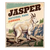 Discover Jasper National Park Vintage Look Goat T-Shirts