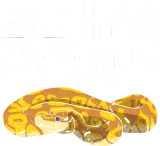 Discover Don't Hiss Me Off Ball Python T-Shirts