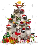 Discover Birman Cat Christmas Tree Holiday Cat Lovers Xmas T-Shirts