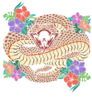 Discover Snake Boa Venom Serpent Reptile Collector Python T-Shirts