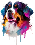 Discover Colorful Bernese Mountain Dog T-Shirts