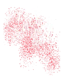 Discover Sassy Girl Girls Night Out T-Shirts
