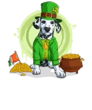 Discover Dalmatian Puppy, Irish Flag, Gold, Shamrock Dog St T-Shirts