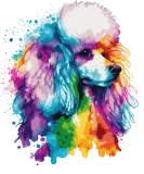 Discover Watercolor Poodle Colorful Pet Poodles Dog Lover T-Shirts