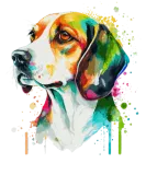 Discover Watercolor Beagle Cute Colorful Pet Dog T-Shirts