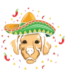 Discover Love Dog Retriever Funny Taco Happy Cinco De Mayo T-Shirts