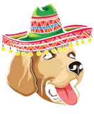 Discover Pet Dog Retriever Funny Taco Happy Cinco De Mayo T-Shirts