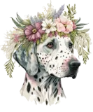 Discover Dalmatian Flower Crown Pet Dog Floral Puppy T-Shirts