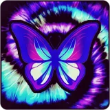 Discover Tie Dye Swirl Butterfly T-Shirts