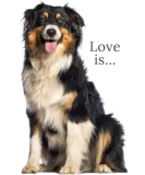 Discover Australian Shepherd T-Shirts Aussie Mom Dad Love Dog